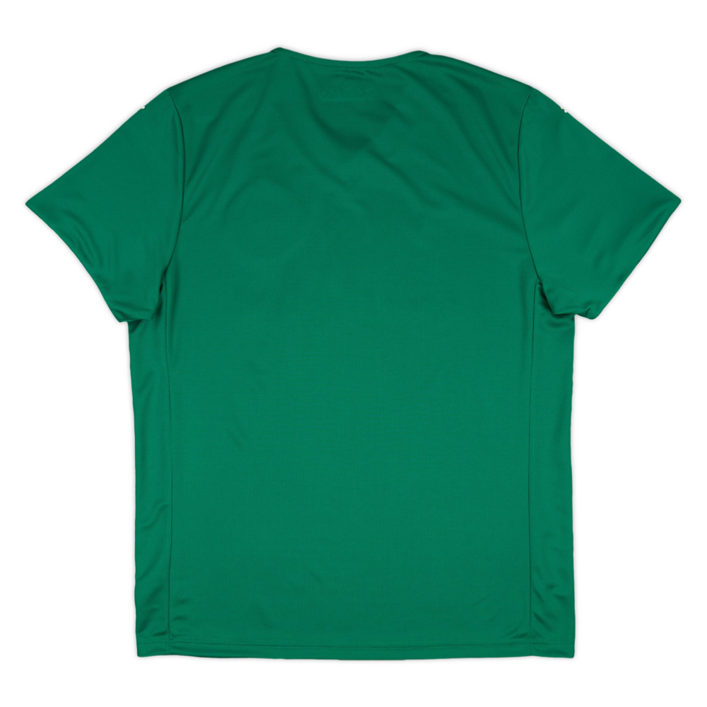 2025-26 SE Palmeiras 1a Equipacion