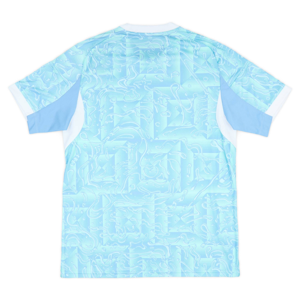 2025-26 Juventus FC 2a Equipacion