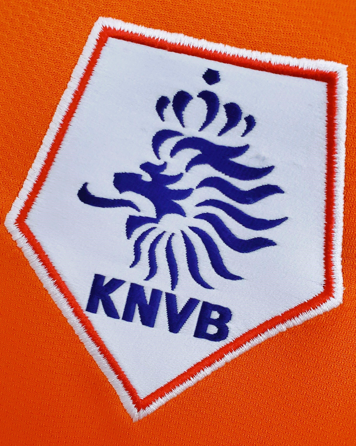 ROBBEN ARJEN 2008-09 (Neth)