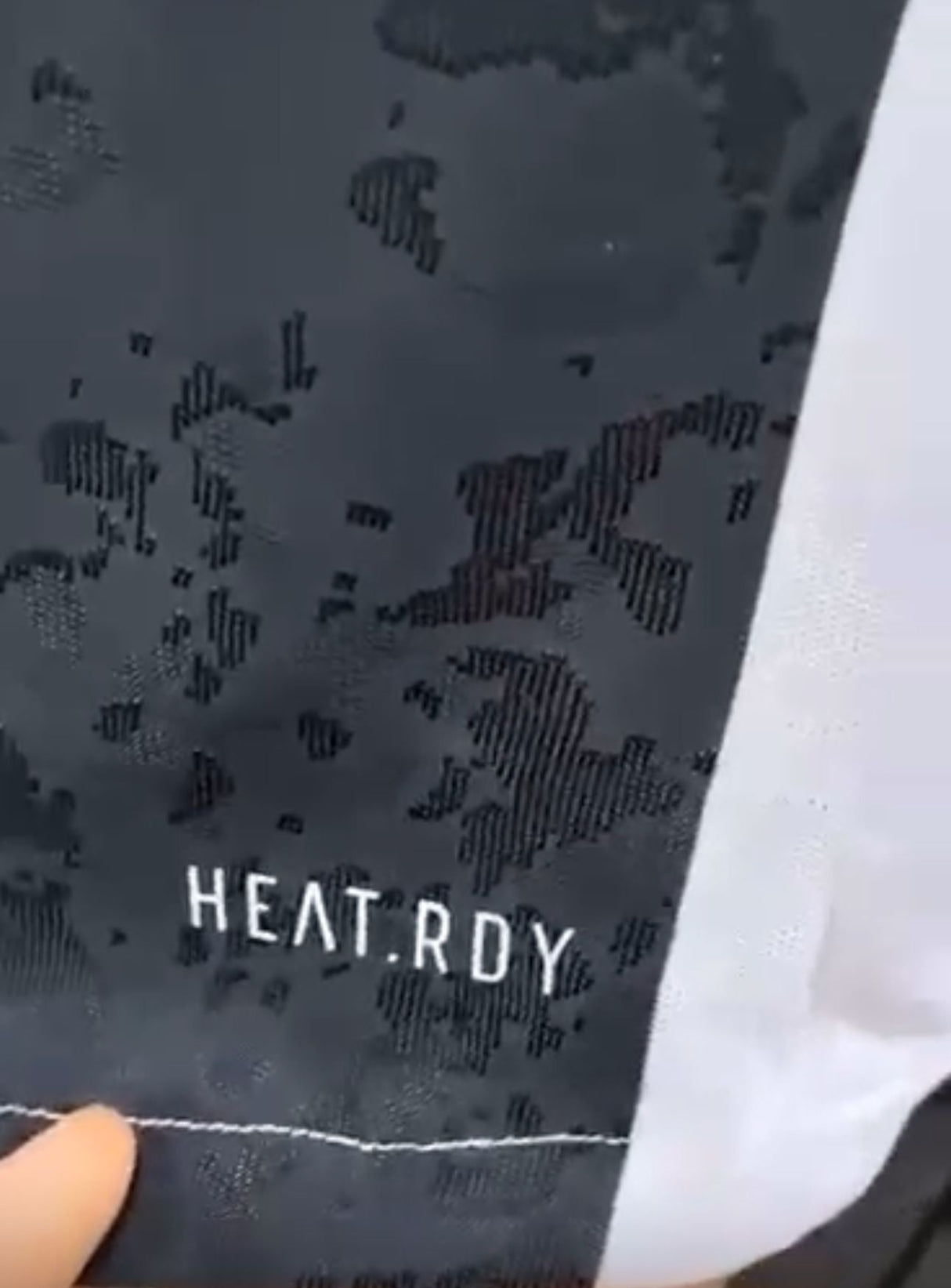 Juventus Fan Del piero